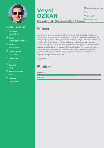 Mekatronik Mühendisliği Cv Örnekleri cv indir